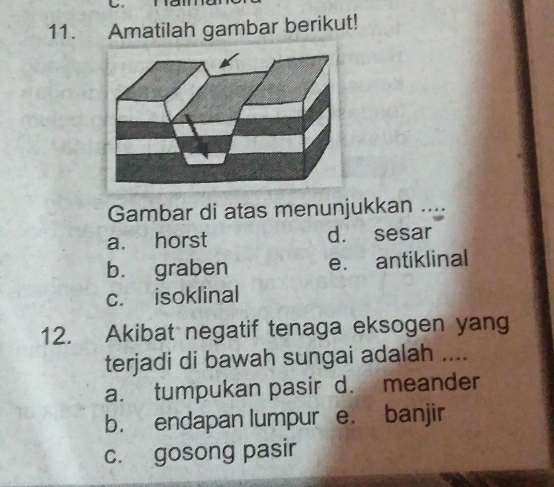 Amatilah gambar berikut!
Gambar di atas menunjukkan ....
a. horst d. sesar
b. graben e. antiklinal
c. isoklinal
12. Akibat negatif tenaga eksogen yang
terjadi di bawah sungai adalah ....
a. tumpukan pasir d. meander
b. endapan lumpur e. banjir
c. gosong pasir