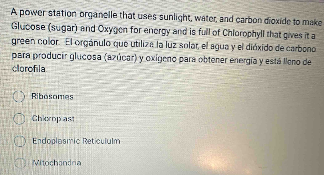 A power station organelle that uses sunlight, water, and carbon dioxide to make
Glucose (sugar) and Oxygen for energy and is full of Chlorophyll that gives it a
green color. El orgánulo que utiliza la luz solar, el agua y el dióxido de carbono
para producir glucosa (azúcar) y oxígeno para obtener energía y está lleno de
clorofila.
Ribosomes
Chloroplast
Endoplasmic Reticululm
Mitochondria