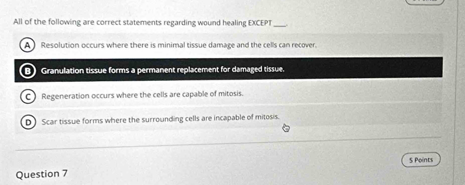 All of the following are correct statements regarding wound healing EXCEPT_
A Resolution occurs where there is minimal tissue damage and the cells can recover.
Granulation tissue forms a permanent replacement for damaged tissue.
C ) Regeneration occurs where the cells are capable of mitosis.
D Scar tissue forms where the surrounding cells are incapable of mitosis.
Question 7 5 Points