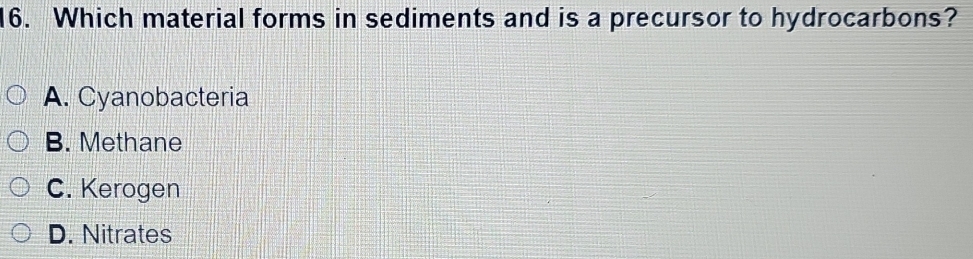 Which material forms in sediments and is a precursor to hydrocarbons?
A. Cyanobacteria
B. Methane
C. Kerogen
D. Nitrates