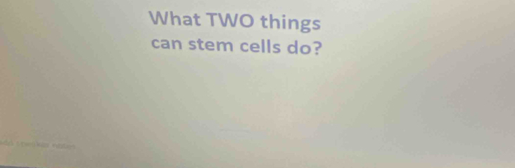 What TWO things 
can stem cells do?