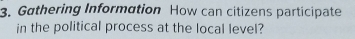 Gathering Information How can citizens participate 
in the political process at the local level?