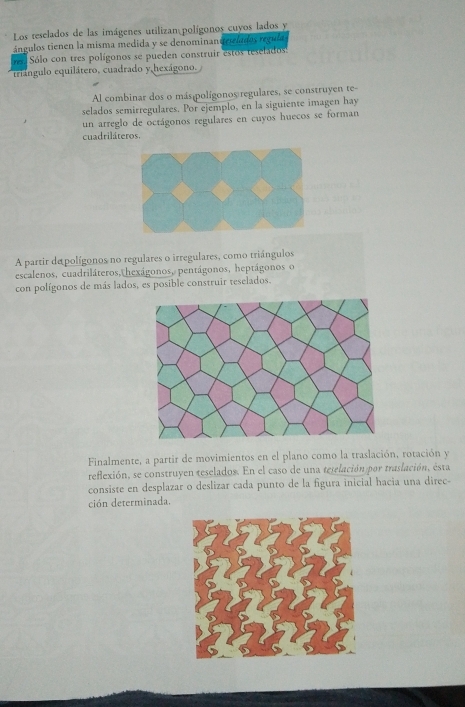 Los reselados de las imágenes utilizan polígonos cuyos lados y 
ángulos tienen la misma medida y se denominand eselados regula 
ns Sólo con tres polígonos se pueden construir estos teselados: 
triángulo equilátero, cuadrado y hexágono. 
Al combinar dos o más polígonos regulares, se construyen te- 
selados semirregulares. Por ejemplo, en la siguiente imagen hay 
un arreglo de octágonos regulares en cuyos huecos se forman 
cuadriláteros. 
A partir de polígonos no regulares o irregulares, como triángulos 
escalenos, cuadriláteros, hexágonos, pentágonos, heptágonos o 
con polígonos de más lados, es posible construir teselados. 
Finalmente, a partir de movimientos en el plano como la traslación, rotación y 
refexión, se construyen teselados. En el caso de una tegelación por traslación, ésta 
consiste en desplazar o deslizar cada punto de la figura inicial hacia una direc- 
ción determinada.