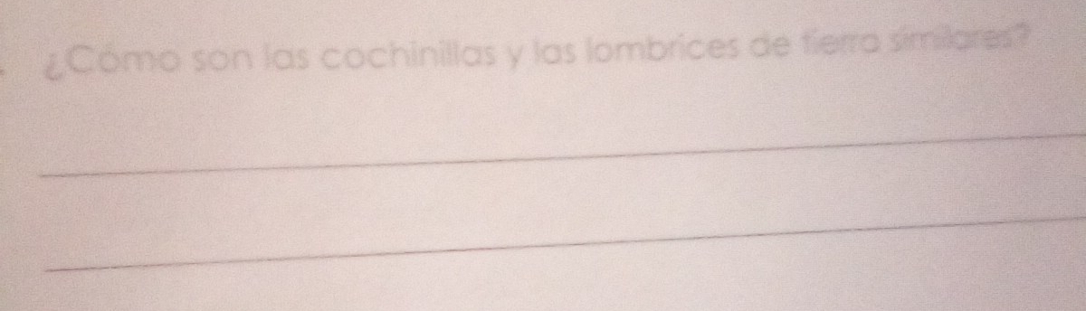 ¿Como son las cochinillas y las lombrices de tierra similares? 
_ 
_