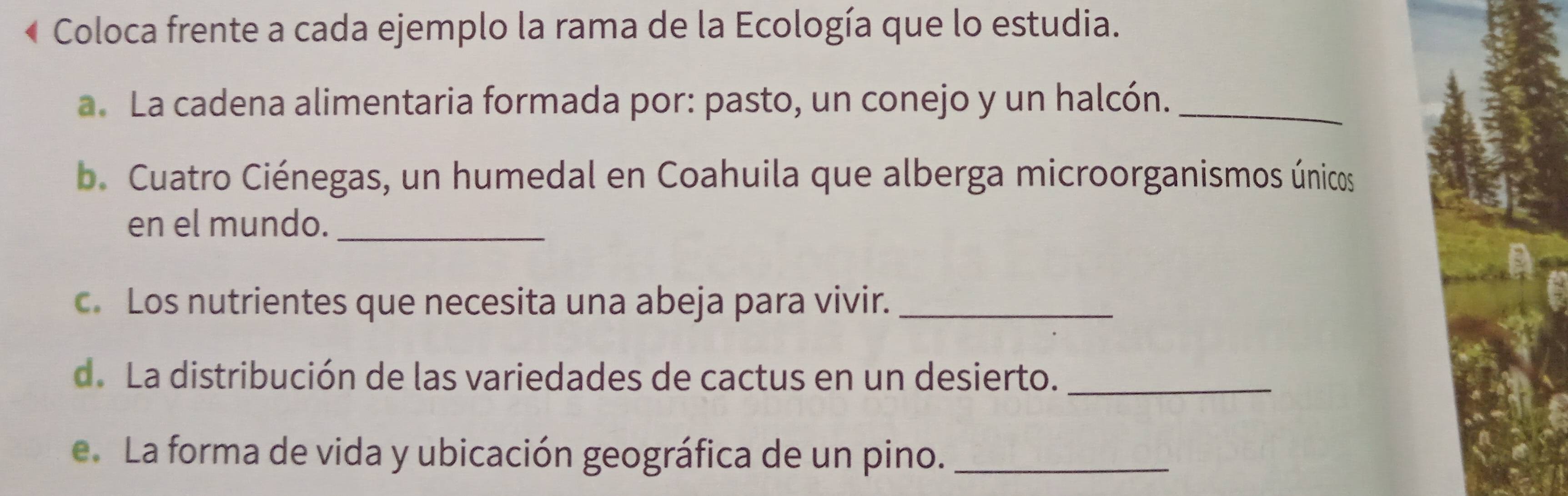 Coloca frente a cada ejemplo la rama de la Ecología que lo estudia. 
a. La cadena alimentaria formada por: pasto, un conejo y un halcón._ 
b. Cuatro Ciénegas, un humedal en Coahuila que alberga microorganismos únicos 
en el mundo._ 
c. Los nutrientes que necesita una abeja para vivir._ 
d. La distribución de las variedades de cactus en un desierto._ 
e. La forma de vida y ubicación geográfica de un pino._