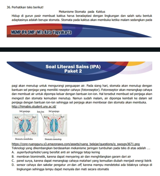 Perhatikan teks berikut!
Mekanisme Stomata pada Kaktus
Hidup di gurun pasir membuat kaktus harus beradaptasi dengan lingkungan dan salah satu bentuk
adaptasinya adalah berupa stomata. Stomata pada kaktus akan membuka ketika malam sedangkan pada
MCMP IPA SMP/ MTs Kota Yogyakarta
Soal Literasi Sains (IPA)
Paket 2
pagi akan menutup untuk mengurangi penguapan air. Pada siang hari, stomata akan menutup dengan
bantuan sel penjaga yang memiliki reseptor cahaya (fotoreseptor). Fotoreseptor akan menangkap cahaya
dan membuat air untuk dipompa keluar dengan bantuan ion-ion. Hal tersebut membuat sel penjaga akan
mengecil dan stomata kemudian menutup. Namun sudah malam, air dipompa kembali ke dalam sel
penjaga dengan bantuan ion-ion sehingga sel penjaga akan membesar dan stomata akan membuka.
http://himabio.student.uny.ac.id/
https://core-ruangguru.s3.amazonaws.com/assets/ruang belajar/questions/q swoypv3671.pnq
Teknologi yang dikembangkan berdasarkan mekanisme jaringan tumbuhan pada teks di atas adalah ....
A. superhydrophobici yang bersifat anti air sehingga tetap kering
B. membran biomimetik, karena dapat menyaring air dan menghilangkan garam dari air
C. panel surya, karena dapat menangkap cahaya matahari yang kemudian diubah menjadi energi listrik
D. sensor cahaya dan sakelar pengatur on dan of, karena mampu mendeteksi ada tidaknya cahaya di
lingkungan sehingga lampu dapat menyala dan mati secara otomatis