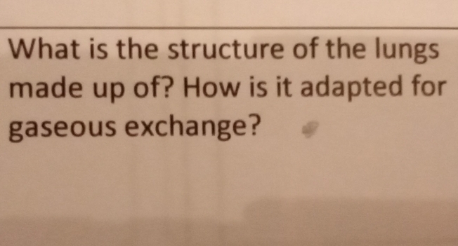 What is the structure of the lungs 
made up of? How is it adapted for 
gaseous exchange?