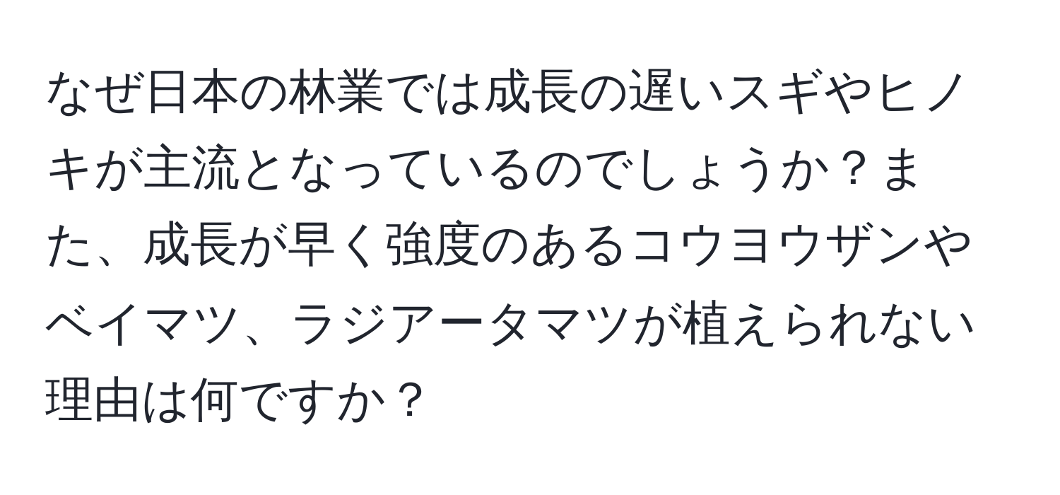 なぜ日本の林業では成長の遅いスギやヒノキが主流となっているのでしょうか？また、成長が早く強度のあるコウヨウザンやベイマツ、ラジアータマツが植えられない理由は何ですか？