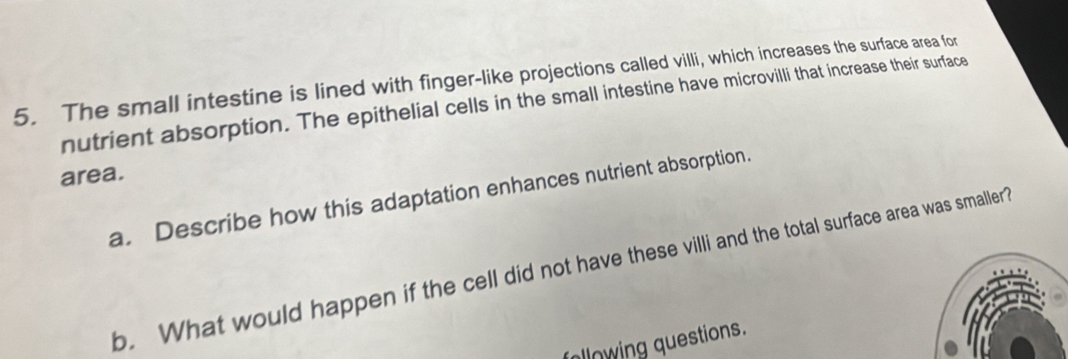 The small intestine is lined with finger-like projections called villi, which increases the surface area for 
nutrient absorption. The epithelial cells in the small intestine have microvilli that increase their surface 
area. 
a. Describe how this adaptation enhances nutrient absorption. 
b. What would happen if the cell did not have these villi and the total surface area was smaller” 
following questions.