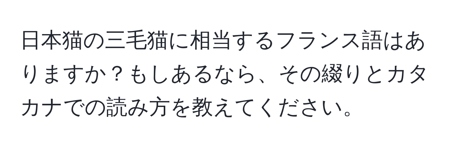 日本猫の三毛猫に相当するフランス語はありますか？もしあるなら、その綴りとカタカナでの読み方を教えてください。