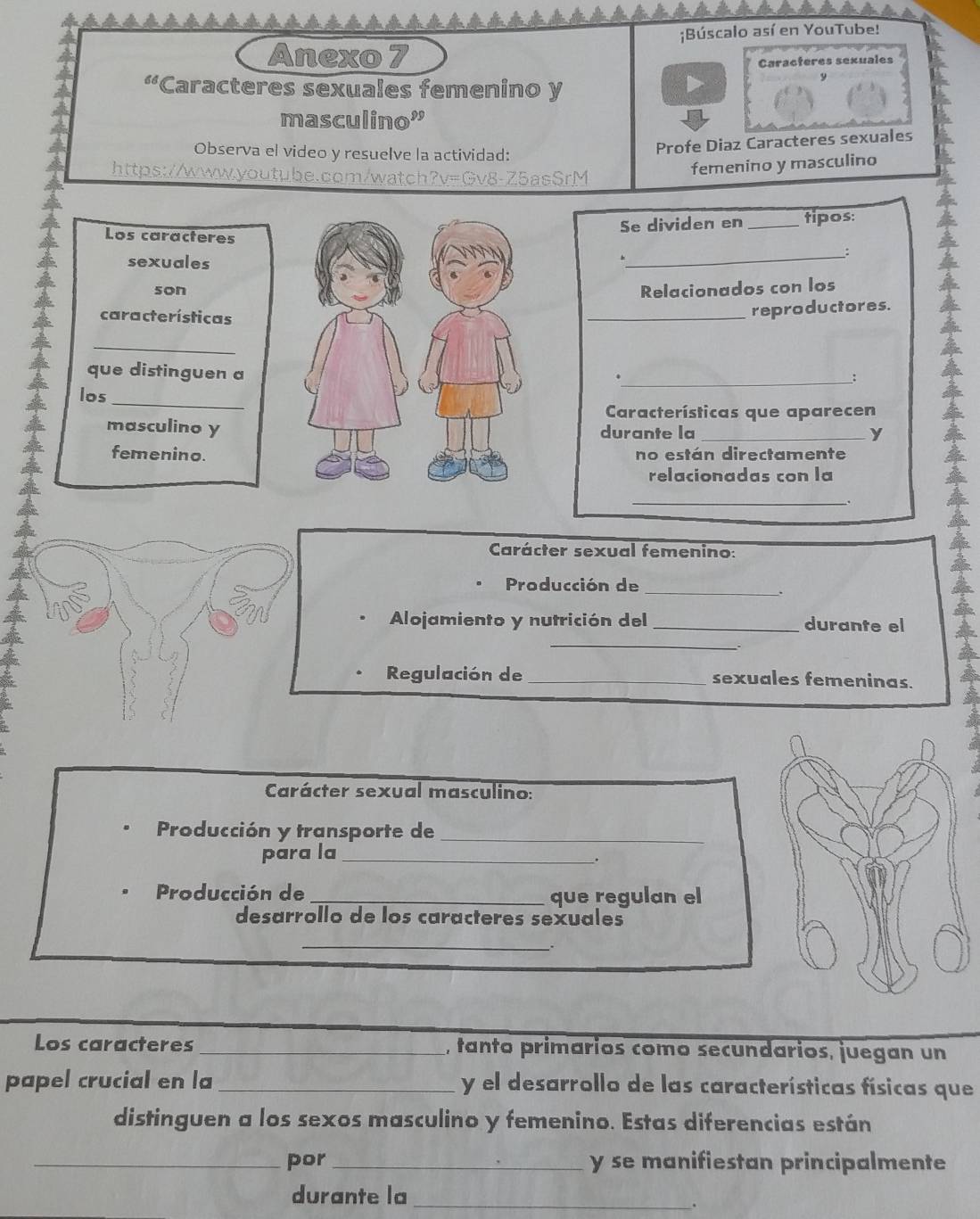 Búscalo así en YouTube! 
Anexo 7 
Caracteres sexuales 
“Caracteres sexuales femenino y 
masculino” 
Observa el video y resuelve la actividad: 
Profe Diaz Caracteres sexuales 
https://www.youtube.com/watch?v=Gv8-Z5asSrM 
femenino y masculino 
Se dividen en _tipos: 
Los caracteres 
sexuales 
4 
_: 
son 
Relacionados con los 
características 
_reproductores. 
_ 
que distinguen a 
_: 
_ 
los 
Características que aparecen 
masculino ydurante la _y 
femenino.no están directamente 
relacionadas con la 
_ 
Carácter sexual femenino: 
Producción de 
_ 
、` 
Alojamiento y nutrición del _durante el 
_ 
Regulación de_ sexuales femeninas. 
Carácter sexual masculino: 
Producción y transporte de 
_ 
para la_ 
. 
Producción de _que regulan el 
desarrollo de los caracteres sexuales 
_ 
_. 
Los caracteres _, tanto primarios como secundarios, juegan un 
papel crucial en la _y el desarrollo de las características físicas que 
distinguen a los sexos masculino y femenino. Estas diferencias están 
_por _y se manifiestan principalmente 
durante la_ 
.