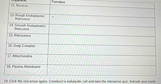 Oiganene Function 
19. Click the red arrow again. Construct a eukaryotic cell and take the interactive quiz. Indicate your score