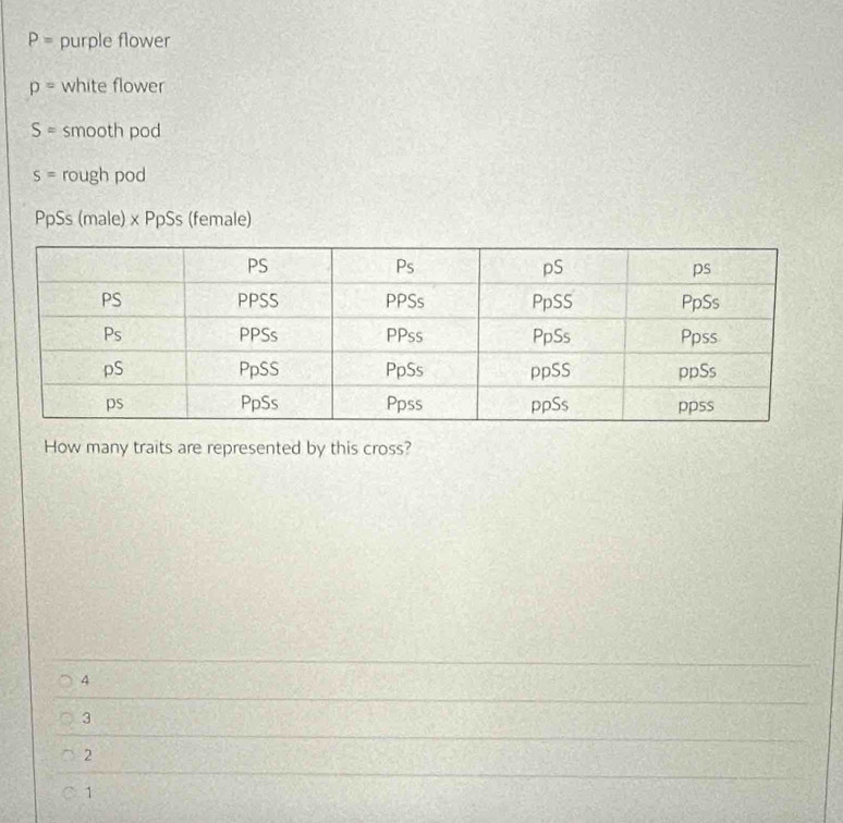 P= purple flower
p= white flower
S= smooth pod
S= rough pod
PpSs (male) x PpSs (female)
How many traits are represented by this cross?
4
3
2
1