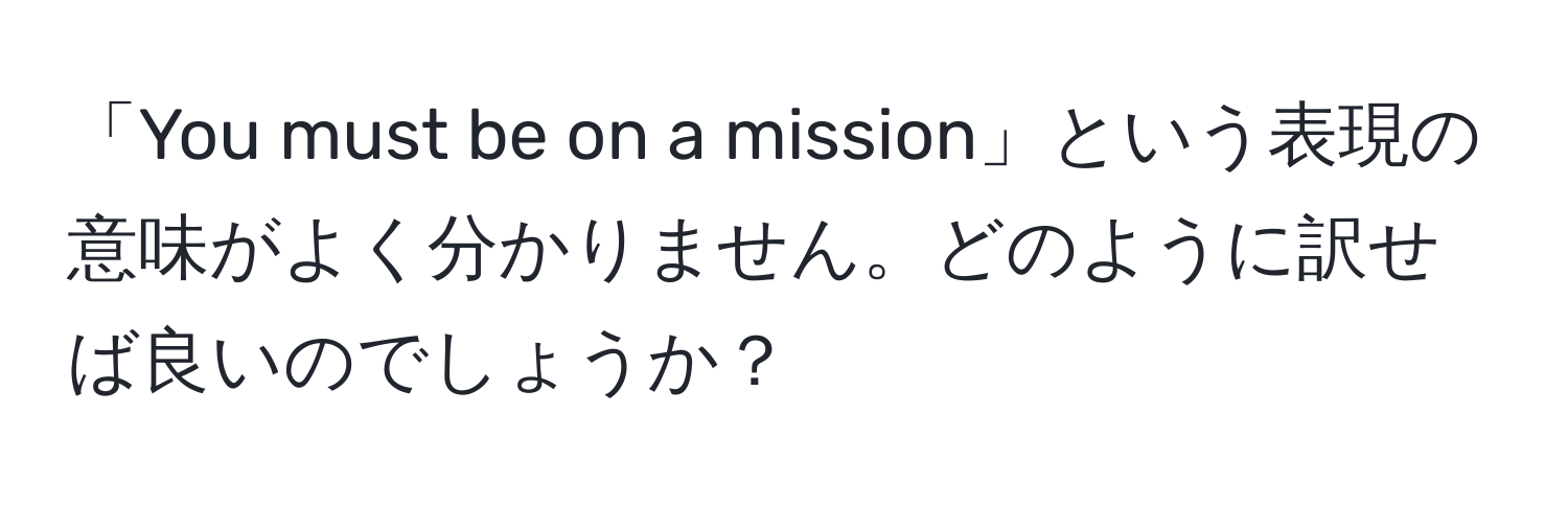 「You must be on a mission」という表現の意味がよく分かりません。どのように訳せば良いのでしょうか？