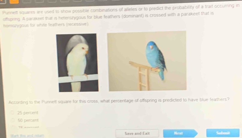 Punnett squares are used to show possible combinations of alleles or to predict the probability of a trait occurring in
offspring. A parakeet that is heterozygous for blue feathers (dominant) is crossed with a parakeet that is
homozygous for white feathers (recessive).
According to the Purnett square for this cross, what percentage of offspring is predicted to have blue feathers?
25 percent
50 percent
7h ainernet
M ark this and return Save and Exit Next Submit