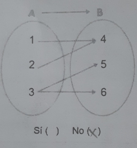 Sí( ) No (X)