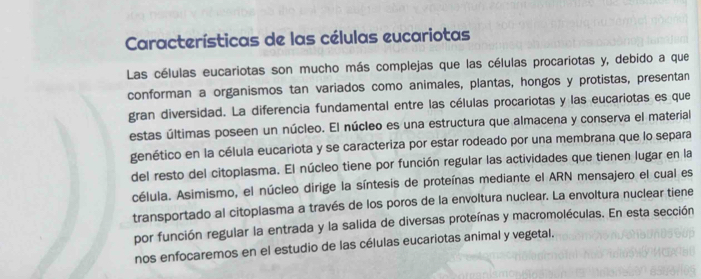 Características de las células eucariotas 
Las células eucariotas son mucho más complejas que las células procariotas y, debido a que 
conforman a organismos tan variados como animales, plantas, hongos y protistas, presentan 
gran diversidad. La diferencia fundamental entre las células procariotas y las eucariotas es que 
estas últimas poseen un núcleo. El núcleo es una estructura que almacena y conserva el material 
genético en la célula eucariota y se caracteriza por estar rodeado por una membrana que lo separa 
del resto del citoplasma. El núcleo tiene por función regular las actividades que tienen lugar en la 
célula. Asimismo, el núcleo dirige la síntesis de proteínas mediante el ARN mensajero el cual es 
transportado al citoplasma a través de los poros de la envoltura nuclear. La envoltura nuclear tiene 
por función regular la entrada y la salida de diversas proteínas y macromoléculas. En esta sección 
nos enfocaremos en el estudio de las células eucariotas animal y vegetal.