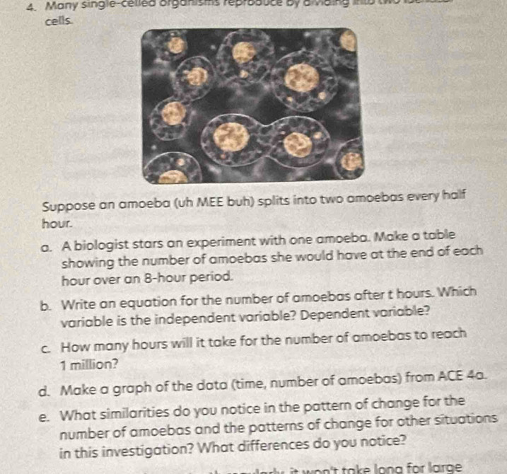 Many single-celled organisms reproauce by a vaing into 
cells. 
Suppose an amoeba (uh MEE buh) splits into two amoebas every half
hour. 
a. A biologist stars an experiment with one amoeba. Make a table 
showing the number of amoebas she would have at the end of each
hour over an 8-hour period. 
b. Write an equation for the number of amoebas after t hours. Which 
variable is the independent variable? Dependent variable? 
c. How many hours will it take for the number of amoebas to reach
1 million? 
d. Make a graph of the data (time, number of amoebas) from ACE 4a. 
e. What similarities do you notice in the pattern of change for the 
number of amoebas and the patterns of change for other situations 
in this investigation? What differences do you notice? 
won't take long for large .