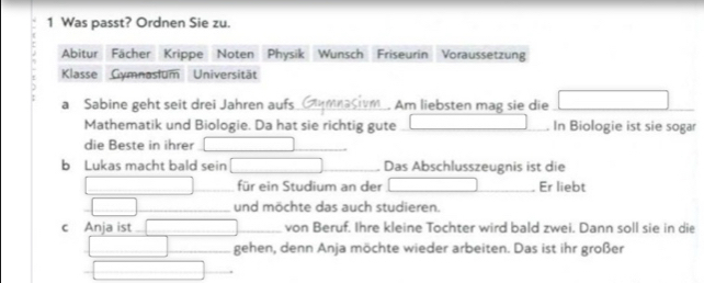 Was passt? Ordnen Sie zu. 
Abitur Fächer Krippe Noten Physik Wunsch Friseurin Voraussetzung 
Klasse Gymnasium Universität 
a Sabine geht seit drei Jahren aufs _. Am liebsten mag sie die □ 
Mathematik und Biologie. Da hat sie richtig gute | . In Biologie ist sie sogar 
die Beste in ihrer (-3,4) _ 
b Lukas macht bald sein _  Das Abschlusszeugnis ist die 
[CH_3)-(-2)]] _ für ein Studium an der □ . Er liebt 
□ _und möchte das auch studieren. 
c Anja ist_ overline  von Beruf. Ihre kleine Tochter wird bald zwei. Dann soll sie in die 
| _ gehen, denn Anja möchte wieder arbeiten. Das ist ihr großer 
□