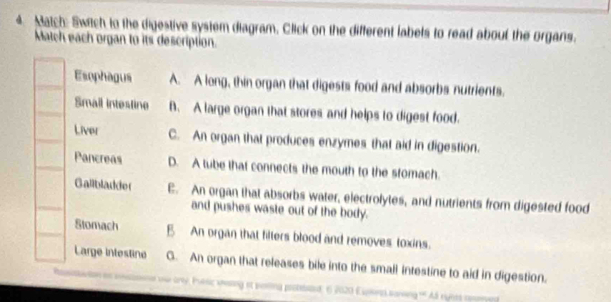 Match: Switch to the digestive system diagram, Click on the different labels to read about the organs.
Match each organ to its description.
Esophagus A. A long, thin organ that digests food and absorbs nutrients.
Smail intestine B. A large organ that stores and helps to digest food.
Liver C. An organ that produces enzymes that aid in digestion.
Pancreas D. A tube that connects the mouth to the stomach.
Gallbladder E. An organ that absorbs water, electrolytes, and nutrients from digested food
and pushes waste out of the body.
Stomach B An organ that filters blood and removes toxins.
Large intestine G. An organ that releases bile into the small intestine to aid in digestion.
ary, Poesic wesing at pellina pretesad: 6 2020 Ewsnd sanking A5 eynes cmped