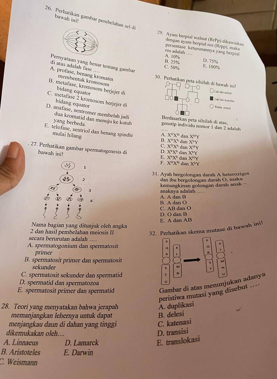 Perhatikan gambar pembelahan sel d
bawah ini!
29. Ayam berpial walnut (RrPp ) dikawinkan
dengan ayam berpial ros (Rrpp), maka
persentase keturunannya yang berpial
ros adalah …
A. 10%
B. 25% D. 75%
Pernyataan yang benar tentang gambar
di atas adalah fase
C. 50% E. 100%
A. profase, benang kromatin
membentuk kromosom
30. Perhatikan peta silsilah di bawah ini!
B. metafase, kromosom berjejer di
bidang equator
Laki-laki norma!
C. metafase 2 kromosom berjejer di
Laki-laki hemofiliua
bidang equator
Wanita normal
D. anafase, sentromer membelah jadi
Berdasarkan peta silsilah di atas.
dua kromatid dan menuju ke kutub genotip individu nomor 1 dan 2 adalah
yang berbeda. A. X^HX^H
E. telofase, sentriol dan benang spindle B. X^HX^h dan X^hY
mulai hilang dan X^HY
C. X^HX^h dan X''Y
27. Perhatikan gambar spermatogenesis di X^hX^h dan X^HY
D. X^hX^h dan
bawah ini! X^hY
E.
F. X^HX^H dan X^hY
1
31. Ayah bergolongan darah A heterozigot
2 dan ibu bergolongan darah O, maka
kemungkinan golongan darah anak -
3
anaknya adalah …
A. A dan B
4
B. A dan O
C. AB dan O
D. O dan B
E. A dan AB
Nama bagian yang ditunjuk oleh angka
2 dan hasil pembelahan meiosis II
32. Perhatikan skema mutase di bawah ini!
secara berurutan adalah …
A. spermatogonium dan spermatosit 
primer 
B. spermatosit primer dan spermatosit
sekunder
C. spermatosit sekunder dan spermatid
D. spermatid dan spermatozoa
E. spermatosit primer dan spermatid
Gambar di atas mean adanya
peristiwa mutasi yang disebut ...
28. Teori yang menyatakan bahwa jerapah A. duplikasi
memanjangkan lehernya untuk dapat
B. delesi
menjangkau daun di dahan yang tinggi
C. katenasi
dikemukakan oleh… D. transisi
A. Linnaeus D. Lamarck E. translokasi
B. Aristoteles E. Darwin
C. Weismann