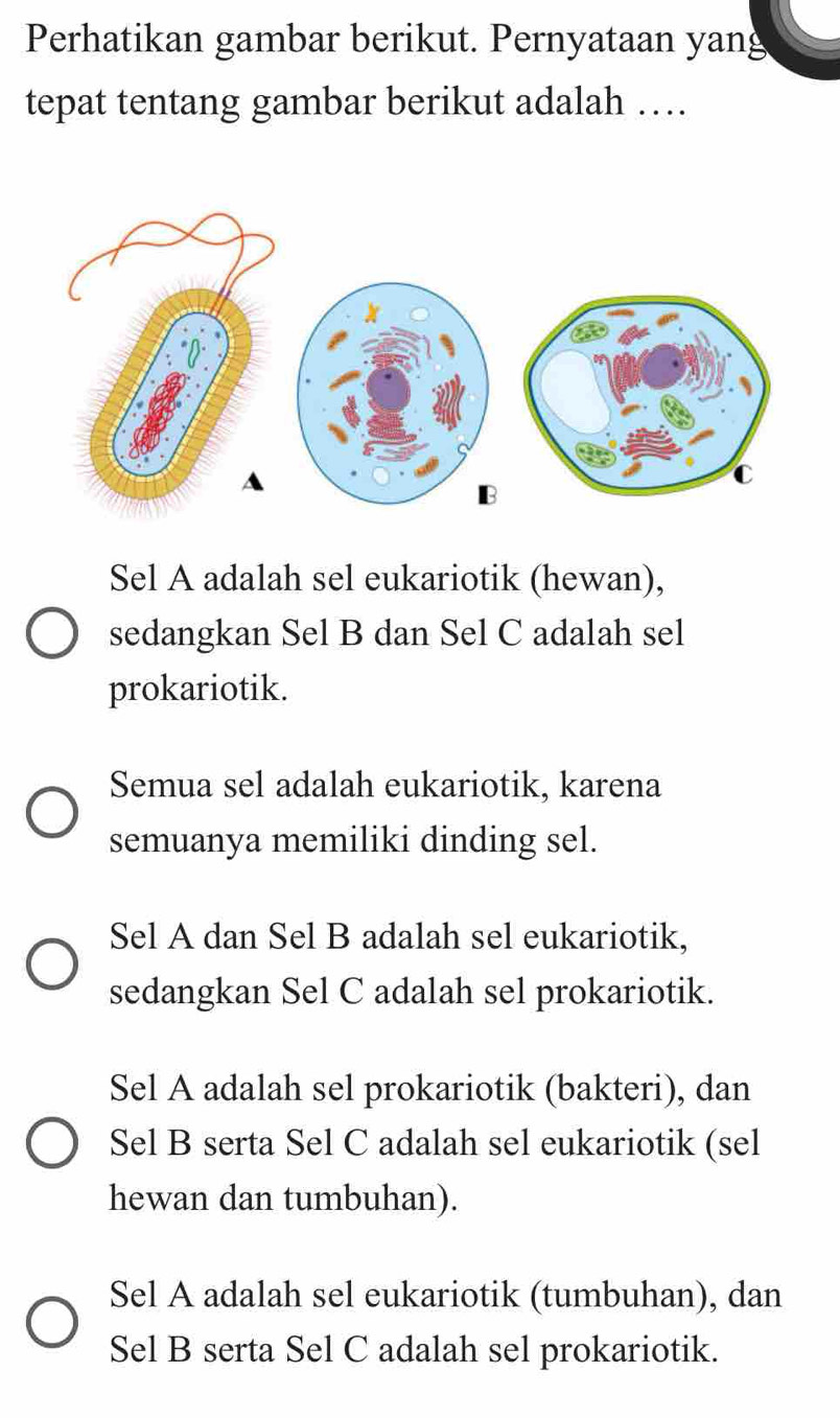 Perhatikan gambar berikut. Pernyataan yang
tepat tentang gambar berikut adalah …
B
Sel A adalah sel eukariotik (hewan),
sedangkan Sel B dan Sel C adalah sel
prokariotik.
Semua sel adalah eukariotik, karena
semuanya memiliki dinding sel.
Sel A dan Sel B adalah sel eukariotik,
sedangkan Sel C adalah sel prokariotik.
Sel A adalah sel prokariotik (bakteri), dan
Sel B serta Sel C adalah sel eukariotik (sel
hewan dan tumbuhan).
Sel A adalah sel eukariotik (tumbuhan), dan
Sel B serta Sel C adalah sel prokariotik.