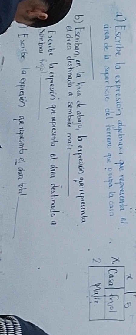 Escribe la expresion algebraa gue representa e 
x 5
drea de la superlicie del ferreno que oupa la caso 
Casa frool 
_ 
2 Mae 
() Escriban, on la linea de abago, la expression que·representa 
d drea destinada a sembrar maiz_ 
Iscrbe la expression gue representa el drea destinada a 
sembrar frijel_ 
Excribe la expresion qerepresenta el drea toral_