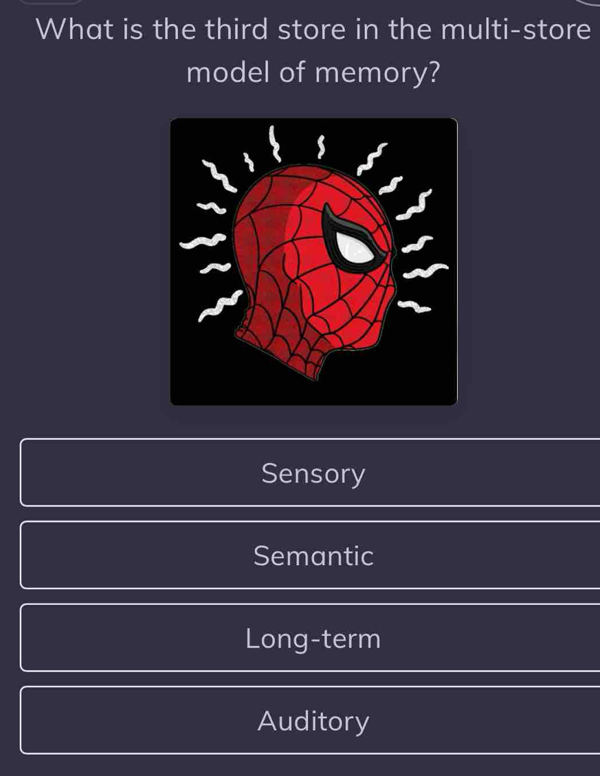 What is the third store in the multi-store
model of memory?
Sensory
Semantic
Long-term
Auditory