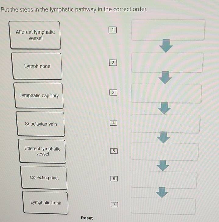 Solved: Put the steps in the lymphatic pathway in the correct order ...
