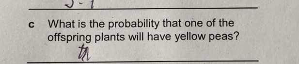 What is the probability that one of the 
offspring plants will have yellow peas? 
_