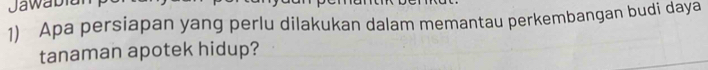 Jawabia 
1) Apa persiapan yang perlu dilakukan dalam memantau perkembangan budi daya 
tanaman apotek hidup?