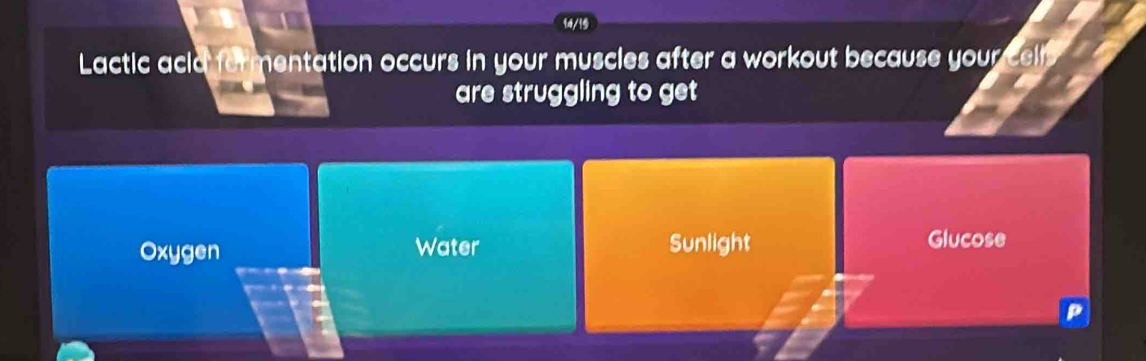 14/15
Lactic acid formentation occurs in your muscles after a workout because your cells
are struggling to get
Oxygen Water Sunlight Glucose
P