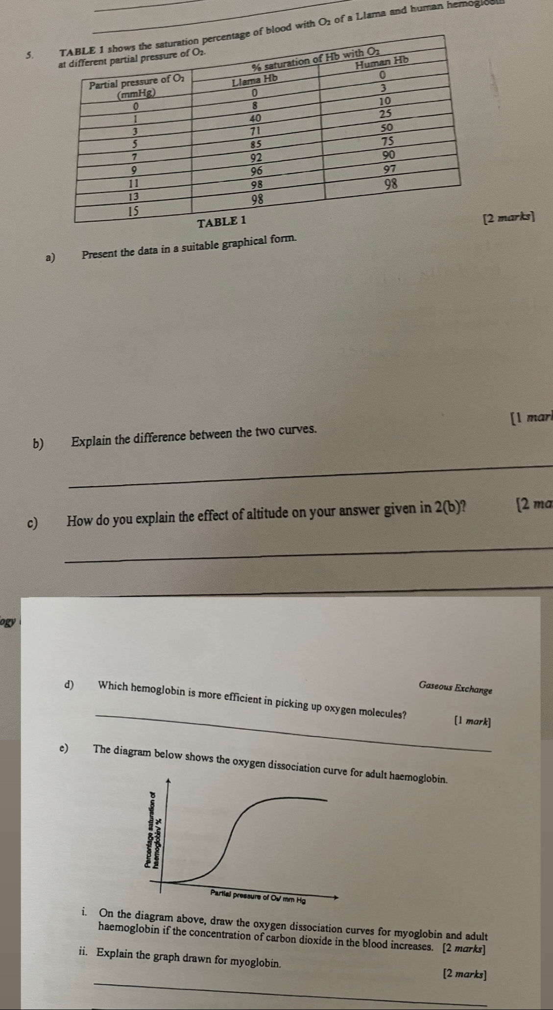 od with O of a Llama and human hemogiou 
marks] 
a) Present the data in a suitable graphical form. 
b) Explain the difference between the two curves. [1 mar 
_ 
c) How do you explain the effect of altitude on your answer given in 2(b)? [2 ma 
_ 
_ 
ogy 
Gaseous Exchange 
_ 
d) Which hemoglobin is more efficient in picking up oxygen molecules? [1 mark] 
e) The diagram below shows the oxygen dissociation curult haemoglobin. 
i. On the diagram above, draw the oxygen dissociation curves for myoglobin and adult 
haemoglobin if the concentration of carbon dioxide in the blood increases. [2 marks] 
ii. Explain the graph drawn for myoglobin. 
_ 
[2 marks]
