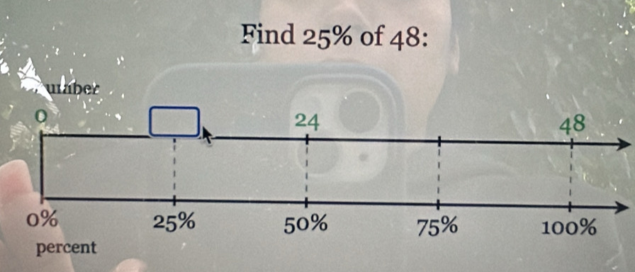 Find 25% of 48 : 
uber