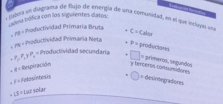 a 
Evaluación formativa 
cadena trófica con los siguientes datos: 
* Elabora un diagrama de flujo de energía de una comunidad, en el que incluyas una
PB= Productividad Primaria Bruta
C= Calor
PN= Productividad Primaria Neta
P= productores
P_2, P_3 V P_4= Productividad secundaria □ 
|= primeros, segundos
R= Respiración y terceros consumidores
F= Fotosíntesis 
= desintegradores
LS= Luz solar