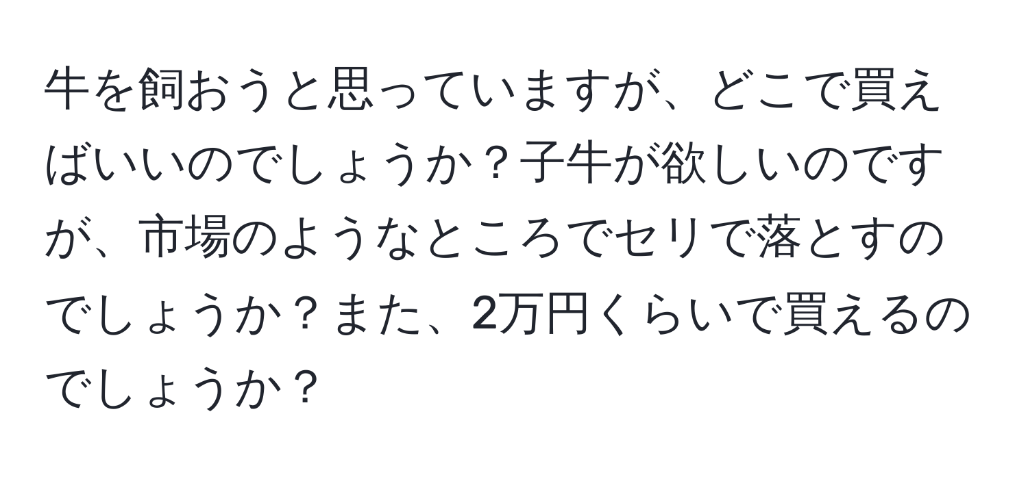 牛を飼おうと思っていますが、どこで買えばいいのでしょうか？子牛が欲しいのですが、市場のようなところでセリで落とすのでしょうか？また、2万円くらいで買えるのでしょうか？