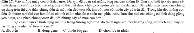 Vào những ngày còn ở Galapagos, Darwin đã quan sát những loài rùa cạn không lồ. Ông cho biết từ việc quan sát
hình dạng của những chiếc mai rùa, ông có thể biết được chúng có nguồn gốc từ hòn đảo nào. Nếu phần mai trước của chúng
có dạng tròn thì cho thấy chúng đến từ một hòn đảo tươi tốt, ẩm ướt, nơi có nhiều cây cỏ trên đất. Trong khi đó, những con
đến từ những nơi khô cạn hơn thì sẽ có một chỏm nhô lên ở phần mai phía trước, làm cho mai của chúng có hình dạng giống
yên ngựa, cho phép chúng vươn đầu tới những cây cỏ mọc cao hơn.
Sự khác nhau về hình dạng mai rùa trong trường hợp trên do thích nghi với môi trường sống, sự thích nghi này do
tác động của nhân tổ tiền hóa nào?
A. đột biển B. dòng gene C. phiêu bạc gen D. chọn lọc tự nhiên