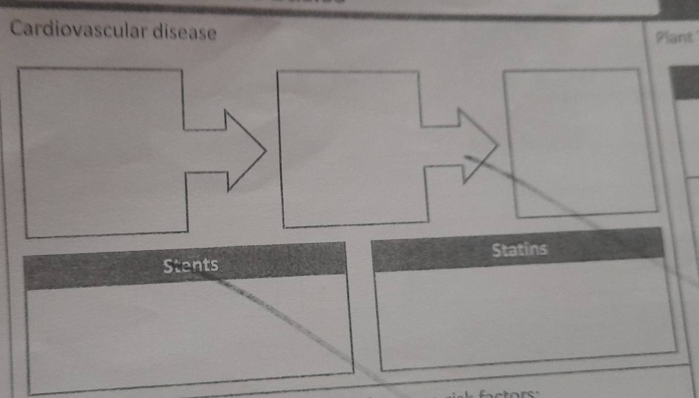 Cardiovascular disease 
Plant 
Stents Statins