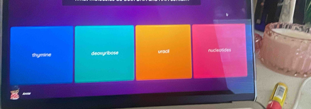 thymine deoxyribose uracil
nucleatides