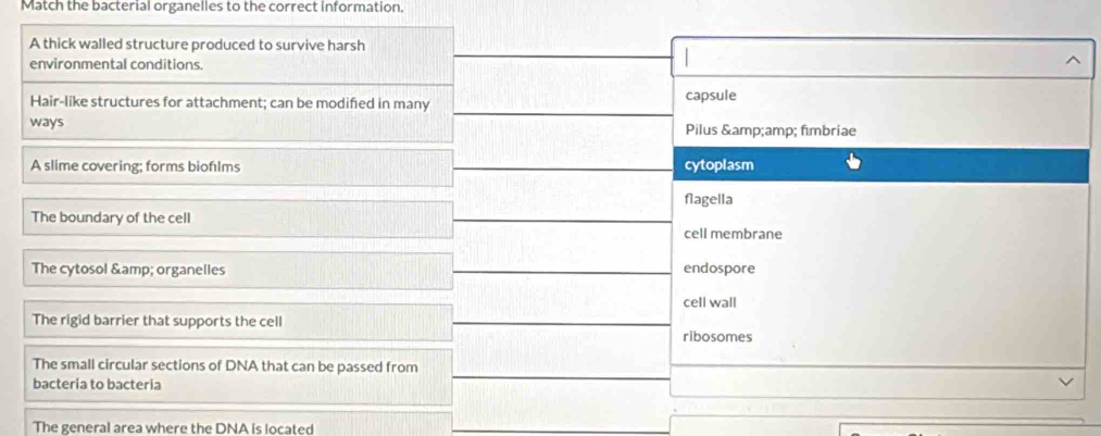 Match the bacterial organelles to the correct information.
A thick walled structure produced to survive harsh
environmental conditions.
Hair-like structures for attachment; can be modifed in many capsule
ways Pilus & amp; fimbriae
A slime covering; forms biofılms cytoplasm
flagella
The boundary of the cell
cell membrane
The cytosol & amp; organelles endospore
cell wall
The rigid barrier that supports the cell ribosomes
The small circular sections of DNA that can be passed from
bacteria to bacteria
The general area where the DNA is located