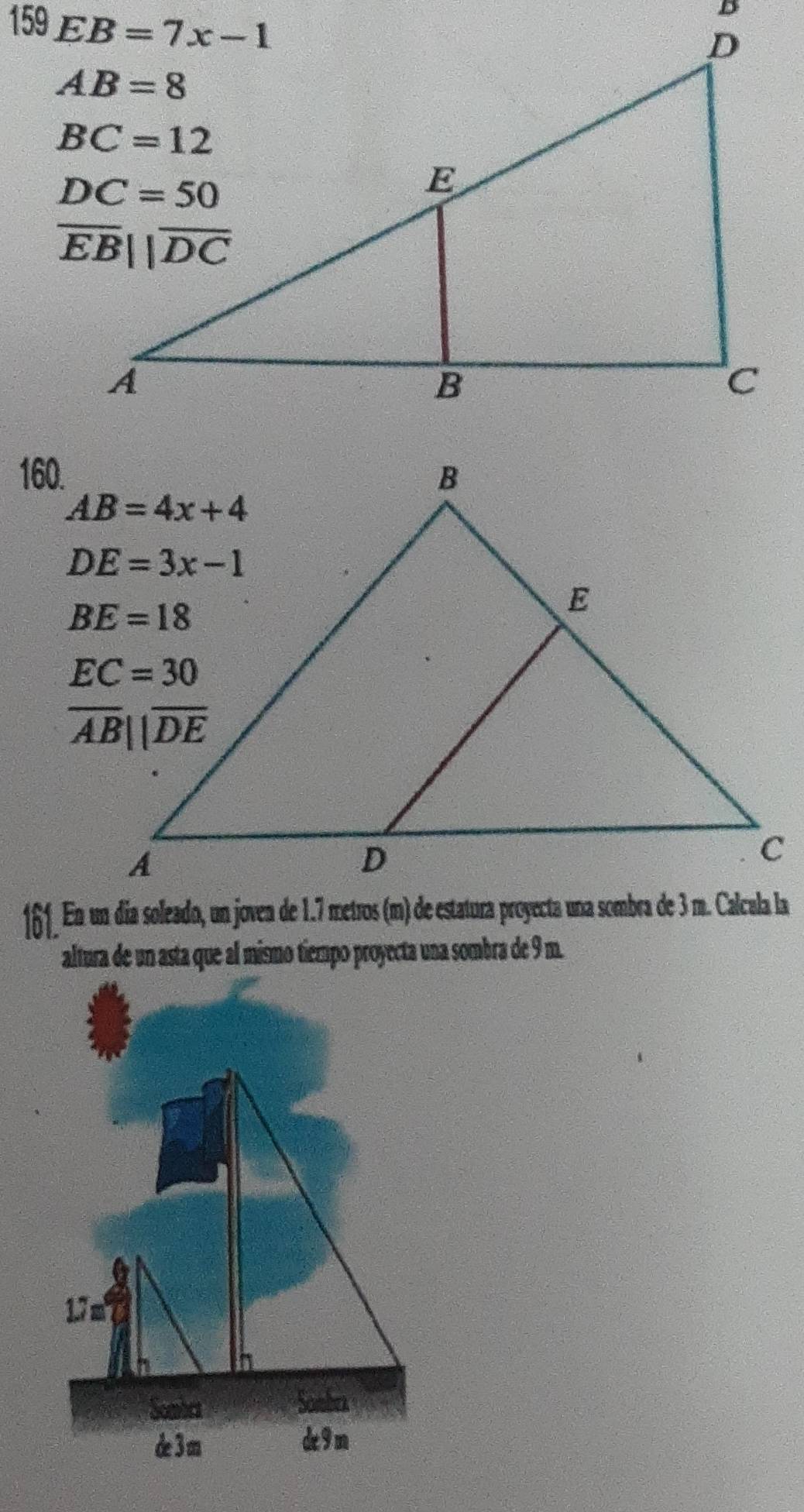 159 
160.
161 En un dia soleado, un joven de 1.7 metros (m) de estatura proyecta una sombra de 3 m. Calcula la
altura de un asta que al mismo tiempo proyecta una sombra de 9 m.
17
Sombet
Somba
de 3m de 9 m