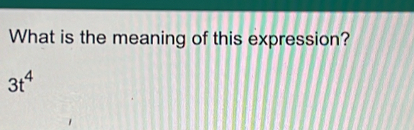 What is the meaning of this expression?
3t^4