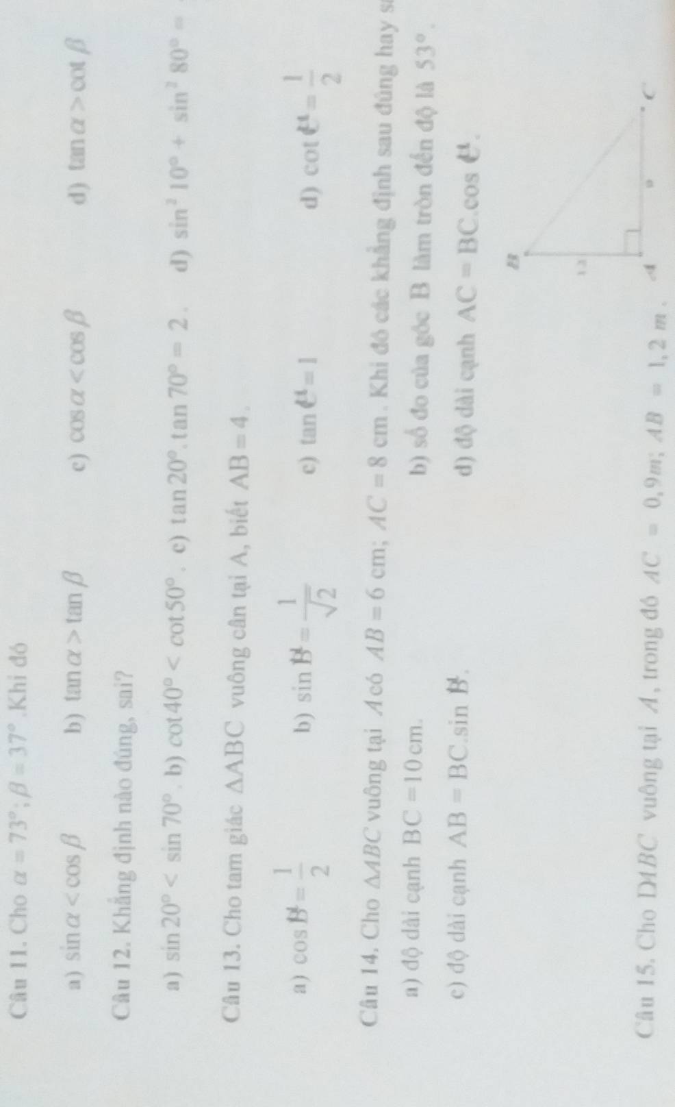 Cho alpha =73°; beta =37°.Khi đó
a) sin alpha b) tan alpha >tan beta c) cos alpha d) tan alpha >cot beta
Câu 12. Khẳng định nào đúng, sai?
a) sin 20° . b) cot 40° . c) tan 20°.tan 70°=2. d) sin^210°+sin^280°=
Câu 13. Cho tam giác △ ABC vuông cân tại A, biết AB=4.
a) cos B= 1/2  sin B= 1/sqrt(2) 
b)
c) tan C^4=1 d) cot θ = 1/2 
Câu 14. Cho △ ABC vuông tại A có AB=6cm; AC=8cm. Khi đó các khẳng định sau đúng hay sĩ
a) độ dài cạnh BC=10cm. b) số đo của góc B làm tròn đến độ là 53°.
c) độ dài cạnh AB=BC.sin B. d) độ dài cạnh AC=BC.cos θ. 
Câu 15. Cho D4BC vuông tại A, trong đó AC=0.9m; AB=1,2m.