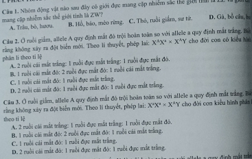 Nhóm động vật nào sau đây có giới đực mang cặp nhiêm sắc thể giời tnh l Lị t ịờ
mang cập nhiễm sắc thể giới tính là ZW? D. Gà, bồ câu, ba
A. Trầu, bò, lưươu. B. Hồ, báo, mèo rừng. C. Thó, ruồi giắm, sư tử.
Câu 2. Ở ruồi giảm, allele A quy định mắt đó trội hoàn toàn so với allele a quy định mất trắng. Bin
rằng không xây ra đột biển mới. Theo lí thuyết, phép lai: X^(wedge)X^a* X^AY cho đời con có kiêu hiú
phân li theo tỉ lệ
A. 2 ruồi cái mắt trắng: 1 ruồi đực mắt trắng: 1 ruồi đực mắt đó.
B. 1 ruồi cái mắt đỏ: 2 ruồi đực mắt đỏ: 1 ruồi cái mắt trắng.
C. 1 ruồi cái mắt đô: 1 ruồi đực mất trắng.
D. 2 ruồi cái mất đỏ: 1 ruồi đực mắt đô: 1 ruồi đực mắt trắng.
Câu 3. Ở ruồi giảm, allele A quy định mắt đỏ trội hoàn toàn so với allele a quy định mắt trắng. Bể
rằng không xây ra đột biển mới. Theo li thuyết, phép lai: X^aX^a* X^AY chọ đời con kiểu hình phân
theo tí lệ
A. 2 ruồi cái mắt trắng: 1 ruồi đực mắt trắng: 1 ruồi đực mắt đỏ.
B. 1 ruồi cái mắt đỏ: 2 ruồi đực mắt đó: 1 ruồi cái mắt trắng.
C. 1 ruồi cái mắt đó: 1 ruồi đực mắt trắng.
D. 2 ruồi cái mắt đỏ: 1 ruồi đực mắt đỏ: 1 ruồi đực mắt trắng.
* G u x định mất trấn