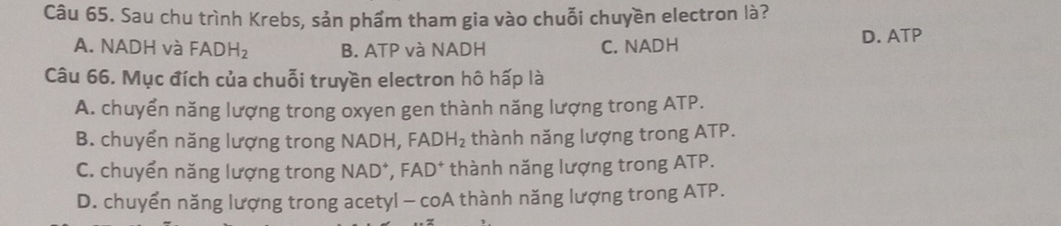 Sau chu trình Krebs, sản phẩm tham gia vào chuỗi chuyền electron là?
A. NADH và FADH_2 B. ATP và NADH C. NADH
D. ATP
Câu 66. Mục đích của chuỗi truyền electron hô hấp là
A. chuyển năng lượng trong oxyen gen thành năng lượng trong ATP.
B. chuyển năng lượng trong NADH, FADH_2 thành năng lượng trong ATP.
C. chuyển năng lượng trong NAD *, FAD* thành năng lượng trong ATP.
D. chuyển năng lượng trong acetyl - coA thành năng lượng trong ATP.