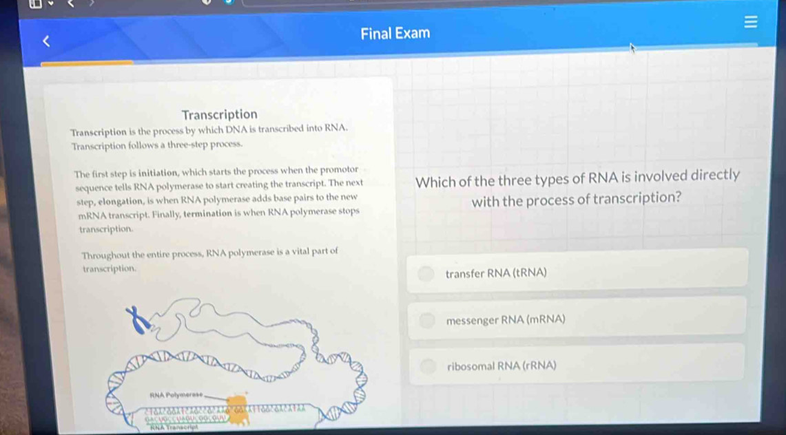 Final Exam
Transcription
Transcription is the process by which DNA is transcribed into RNA.
Transcription follows a three-step process.
The first step is initiation, which starts the process when the promotor
sequence tells RNA polymerase to start creating the transcript. The next Which of the three types of RNA is involved directly
step, elongation, is when RNA polymerase adds base pairs to the new
mRNA transcript. Finally, termination is when RNA polymerase stops with the process of transcription?
transcription.
Throughout the entire process, RNA polymerase is a vital part of
transcription.
transfer RNA (tRNA)
messenger RNA (mRNA)
ribosomal RNA (rRNA)