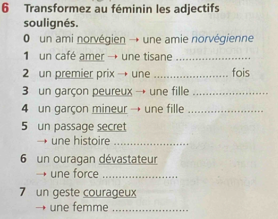 Transformez au féminin les adjectifs 
soulignés. 
0 un ami norvégien → une amie norvégienne 
1 un café amer → une tisane_ 
2 un premier prix → une _fois 
3 un garçon peureux → une fille_ 
4 un garçon mineur → une fille_ 
5 un passage secret 
une histoire_ 
6 un ouragan dévastateur 
une force_ 
7 un geste courageux 
une femme_