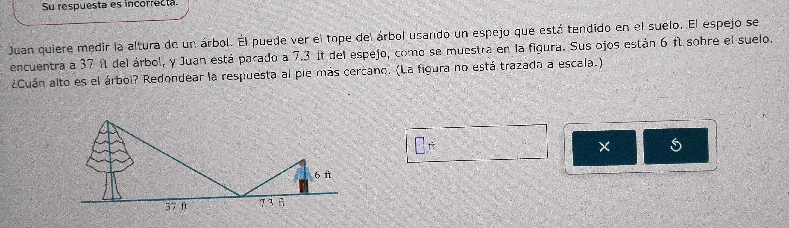 Su respuesta es incorrecta. 
Juan quiere medir la altura de un árbol. Él puede ver el tope del árbol usando un espejo que está tendido en el suelo. El espejo se 
encuentra a 37 ft del árbol, y Juan está parado a 7.3 ft del espejo, como se muestra en la figura. Sus ojos están 6 ft sobre el suelo. 
¿Cuán alto es el árbol? Redondear la respuesta al pie más cercano. (La figura no está trazada a escala.) 
It 
× 
5