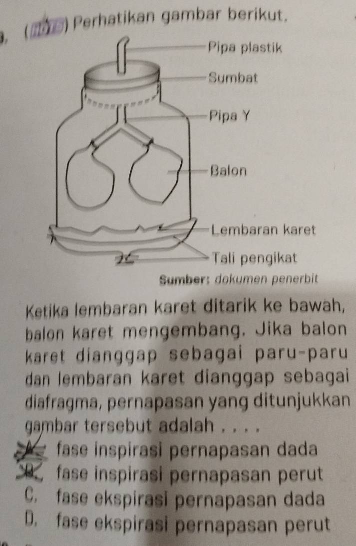 )Perhatikan gambar berikut.
Sumber: dokumen penerbit
Ketika lembaran karet ditarik ke bawah,
balon karet mengembang. Jika balon
karet dianggap sebagai paru-paru
dan lembaran karet dianggap sebagai
diafragma, pernapasan yang ditunjukkan
gambar tersebut adalah . . . .
fase inspirasi pernapasan dada
fase inspirasi pernapasan perut
C. fase ekspirasi pernapasan dada
D. fase ekspirasi pernapasan perut