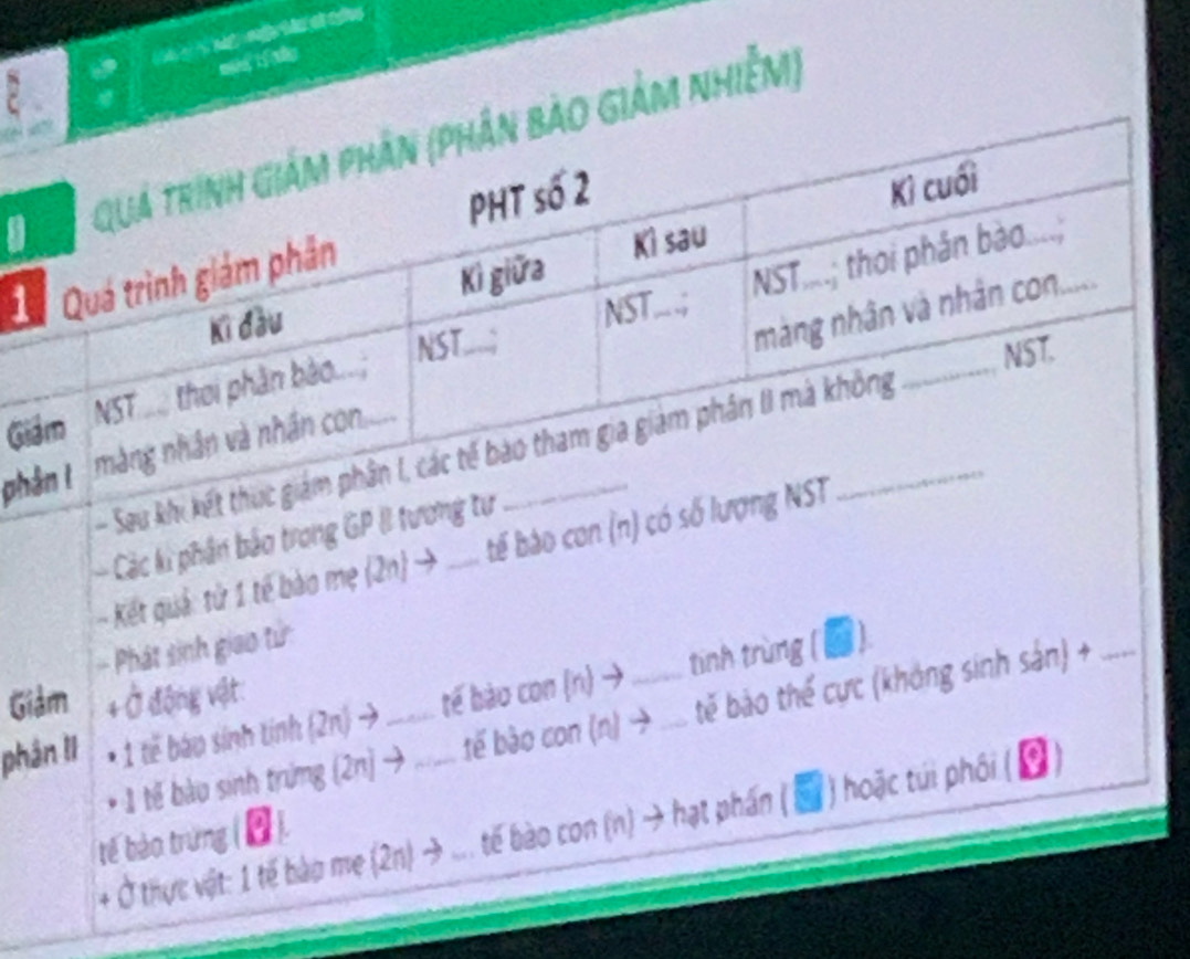 man lí tǎo 
Tbảo giảm nhiễm) 
Đ 
G 
p 
Seu khi kết thự 
- Các kí phân bảo trong GP II tương tư 
- Kết quả: tử 1 tế bào mẹ 2n→ tế bào con (n) có số lượng N 
- Phát sinh giao tử: 
Giảm + Ở động vật: 
phân II * 1 tế báo sinh tính (2n) → .. tế bào con (n) → __tinh trùng (▲). 
* 1 tế bào sinh trừng (2n) → ..... tế bào con (n) → .... tế bào thể cực (không sinh sản) +_ 
+ Ở thực vật: 1 tế bào mẹ (2n) → ... tế bào con (n) → hạt phần ( H ) hoặc túi phối 
tế bào trừng ().